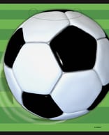 3D-Fussballtasche 8 Stück grün-schwarz-weiss